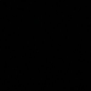 Meet your Posher, Reggie